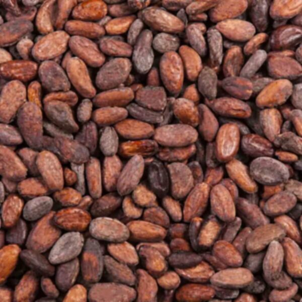 Fèves de cacao  crues 150g 100% Naturelles